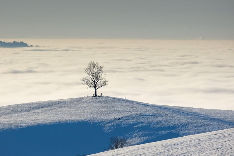 Arctic landscape